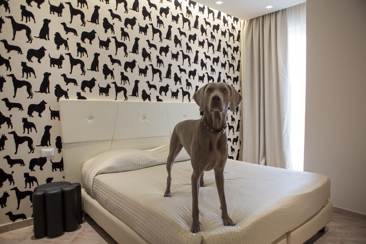 Hotel Principe Римини Экстерьер фото
